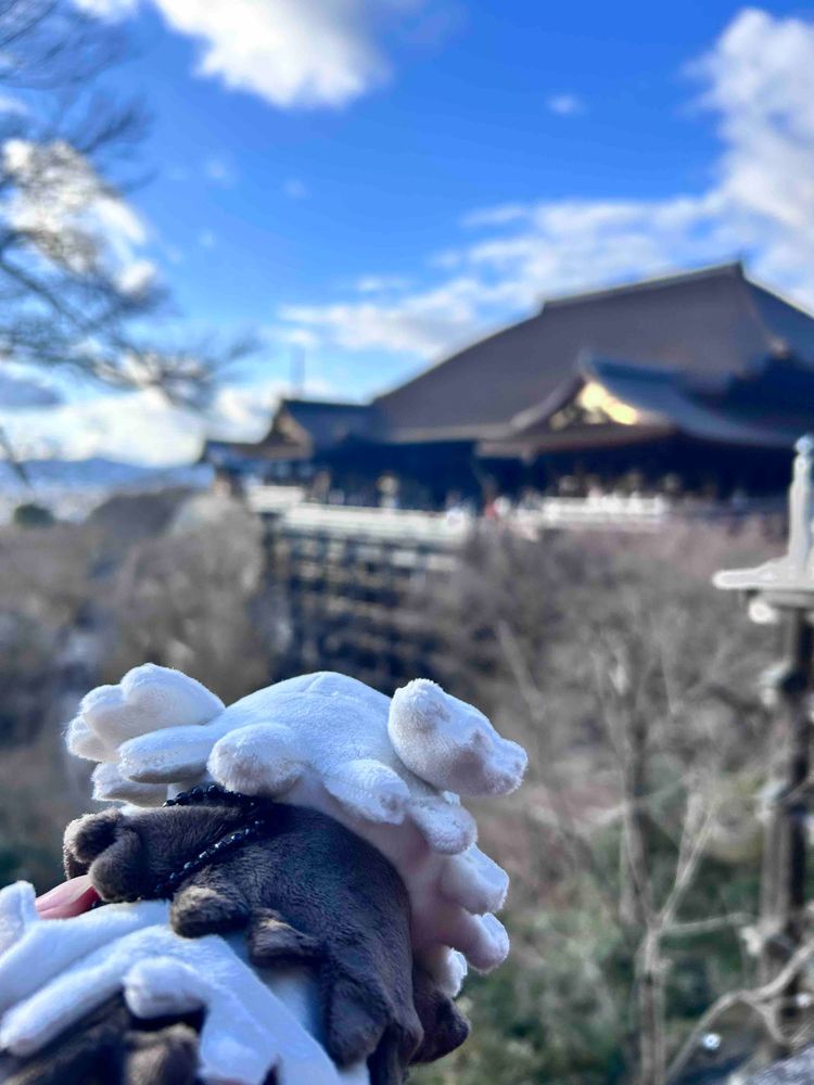 清水の 舞台！