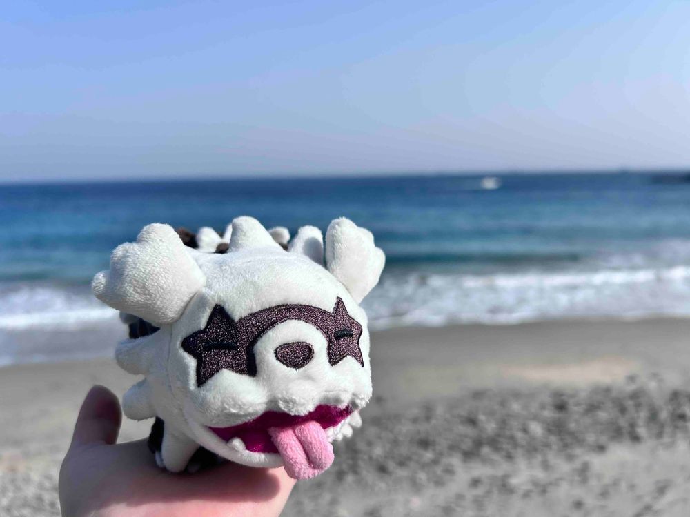 海は 広いな 大きいな！
ポカポカで 気持ちのいい 朝だったよ！