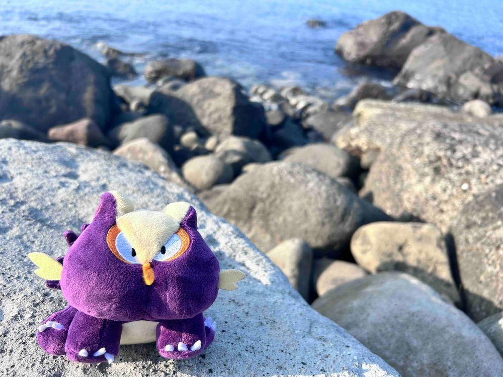 海だ！