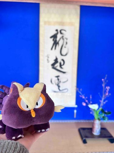 起雲閣に 来たよ！瑠璃色の 壁が 特徴 みたい！