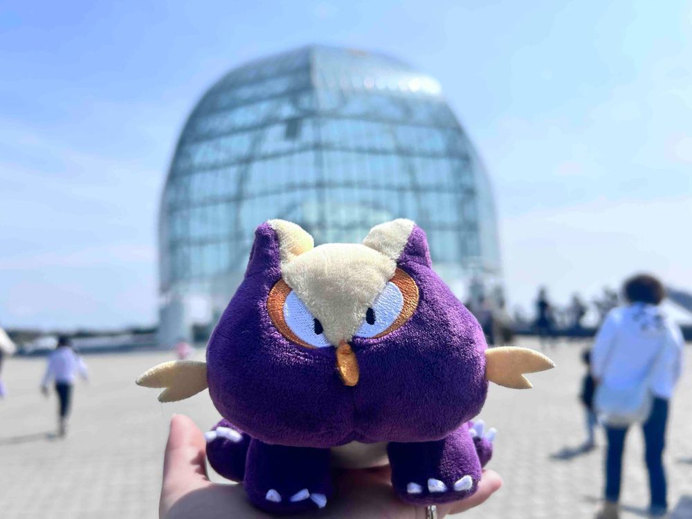 どーむの 下には お魚が いっぱい！