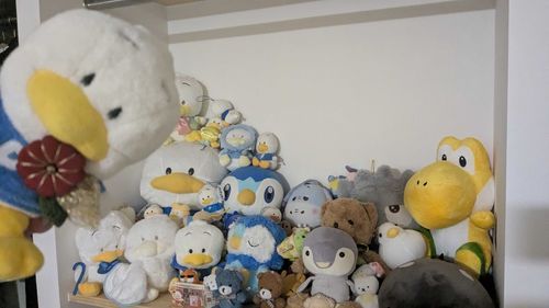 主のおうちにはたくさんのぼくのおともだちがいるのです🪿