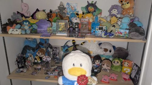 主はぼくたちサンリオキャラクターズだけじゃなくて、ポケモンとかにじさんじとかアイドルの方々もすきみたい！