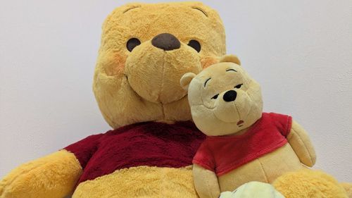 ぼくのビックな先輩。
自撮りに応じてくれた。