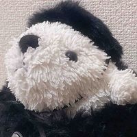 くま野  くぅ
