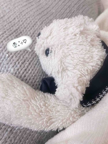 あさひが眩しい…
…雪はまだふってないのかなぁ?