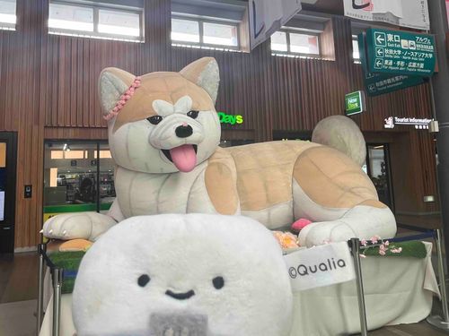 ひさびさ❕