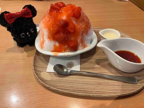お友達から誕プレで頂いた新入りとかき氷