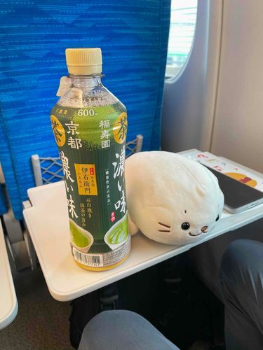 旅あざらし