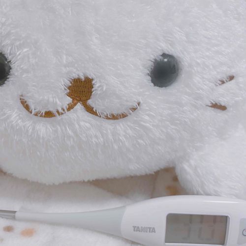 なるほどね、