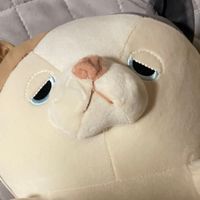 まおまお