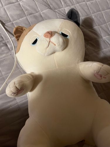 今日届いた「ねむねむアニマルズ」の猫ちゃん🐱
名前はニャンちゃんだにゃ~😺