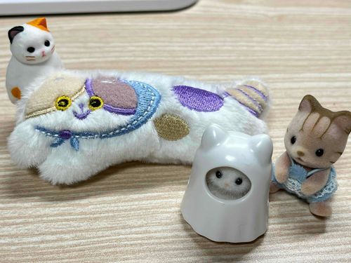 猫王国