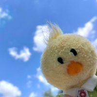 ひよこ