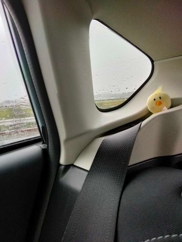 ひよこせんようのせき