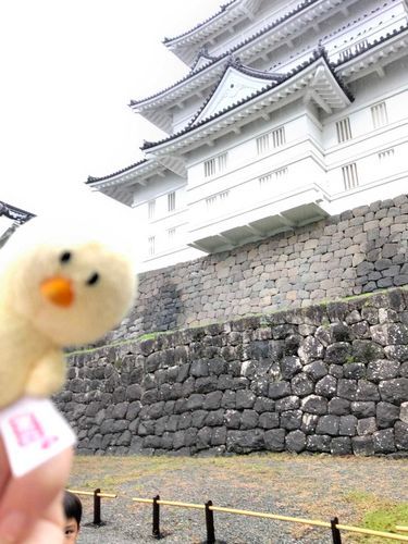 小田原城にいきました　雨だった