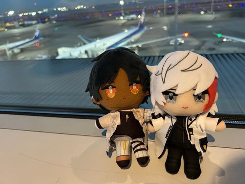 ✈️