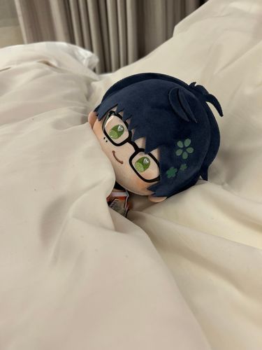 「あるじは、すていじ おすきですか？」