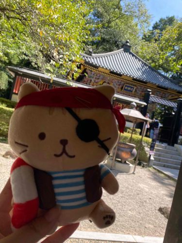 ことしのなつに　せんだいに　いったときの　写しん
どくがん竜　さんの　おはか　なんだって
