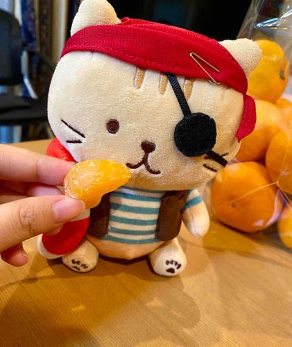 ぼく　おみかんの　白いところ　食べられるけど
おうちの人が　食べたいらしいから　あげてるんだよ
あっ！　取りきれて　ないよ！