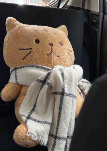 きょ年の今日に　お出かけしたときの　かくしどり！　おうちの人の　おかあさんが　とったんだって　ぼく　全ぜん気づかなかった！