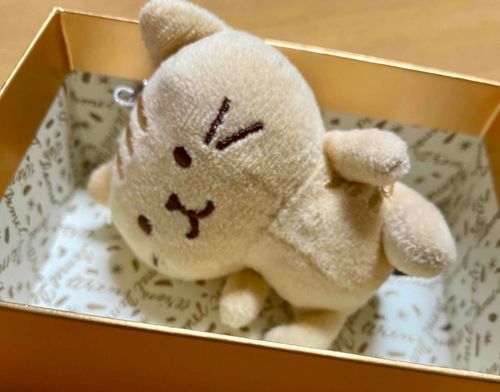 チョコが　入ってた　はこ　いごこ地が　いい……！