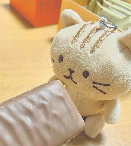 もうすぐ　バレンタインだから　おうちの人と　高きゅうチョコを　はんぶんこ！　このチョコ　ウィーンから　来たんだって　おかしの国みたいな　ところかなあ？　（うつっちゃいけないのが うつってたから さいとうこうだよ）