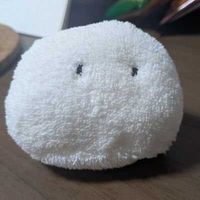 このこ