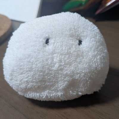 「このこ」って言います。よろしくね。
100均のマイクロファイバータオルと綿からつくられてますよ。
もちもちですよ。
手のひらで握れちゃいますよ。