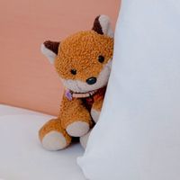 ネネ