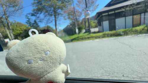 いろは坂の途中です