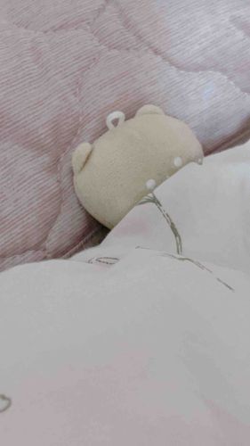 風邪引いちゃった…