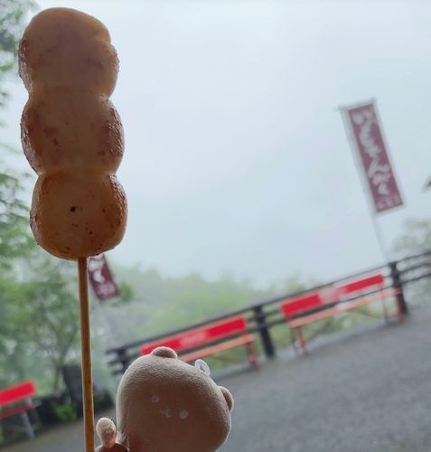 お団子を食べました