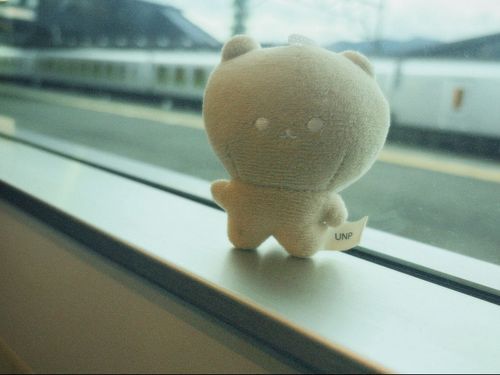 帰りの電車です。
この後転げ落ちたので、お風呂へ入りました。