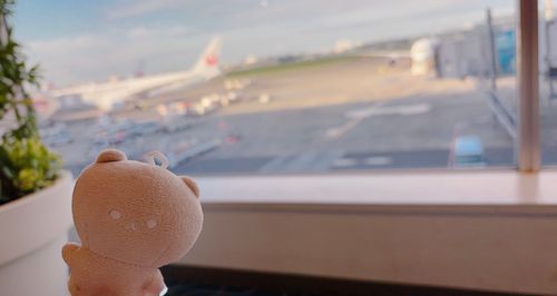 フライトしました*⋆✈