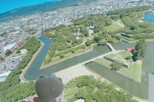 五稜郭です