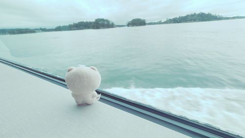 船に乗りました🚢
