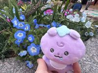 サニヨ