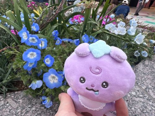 お花とおいしいものが大好きな妖精の赤ちゃんです！