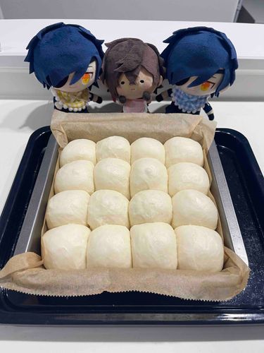 ぱんのあかちゃん！

お化粧してから焼くから待っててねー🍞