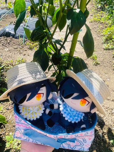 ぴまんのあかちゃん！

初めての畑にはしゃいですわころりんしないように気をつけてね