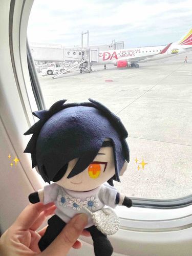 ひこーき！

すわちゃん、初めて機内でバッグから出してもらえたのでちょっとだけはしゃいでます✈️