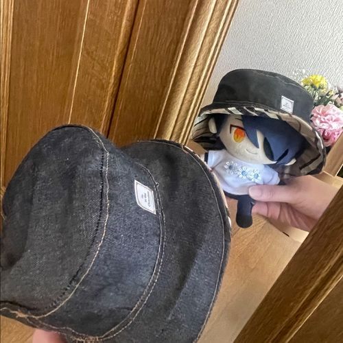 あるじのじっかでみだしなみちぇっく