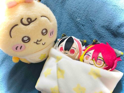 今日も寒いねぇ〜
あったかくして寝ようね〜