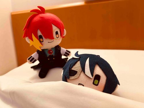 フェネぬい『ボスキ、そのベッドは主様が使う物だよ。』
ボスぬい『💤…。(狸寝入り)』
