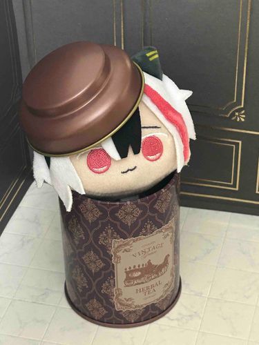 まめベリさん、お茶の時間には早いですよ？

目覚めの紅茶をご所望中でした。