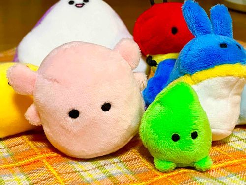 みんなでしゃしんとたぷく！