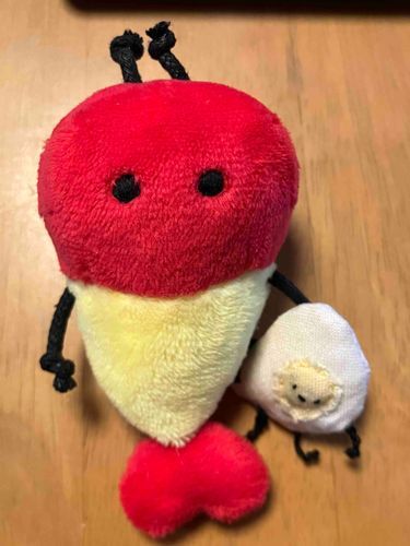 #ぬいぐるみと一緒 
#えび 

えびくん「ぼくのだいじなおともだちのめだまやきくんなんだ！」