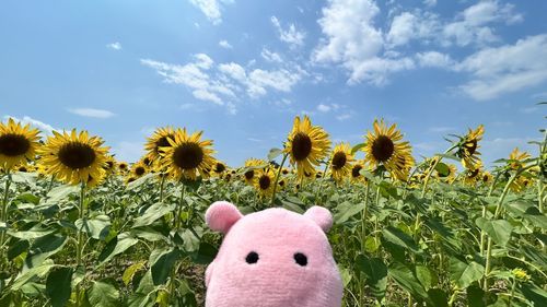 もうなつぷくな！
