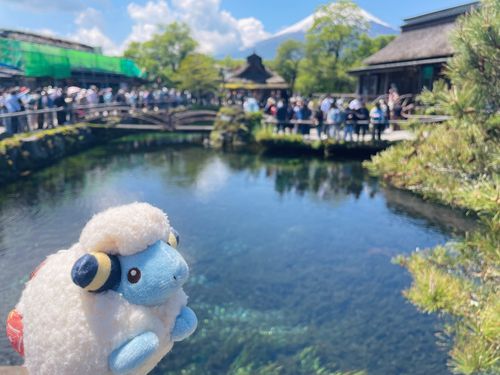 メリープみたいに綺麗な青だったね💎

📍忍野八海